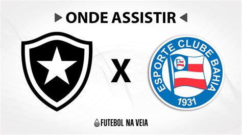 Botafogo x Bahia: onde assistir ao vivo, horário